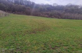 Teren superb 2.500 mp în Nicula – liniște, natură și priveliște de vis!