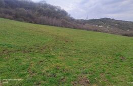 Teren superb 2.500 mp în Nicula – liniște, natură și priveliște de vis!