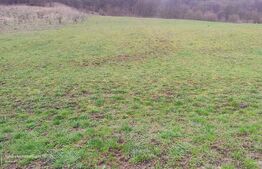 Teren superb 2.500 mp în Nicula – liniște, natură și priveliște de vis!