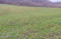 Teren superb 2.500 mp în Nicula – liniște, natură și priveliște de vis!