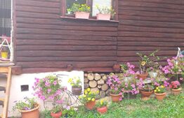 Cabana in zona Gherla, teren 1617 mp, zona linistita – relaxare sau investitie