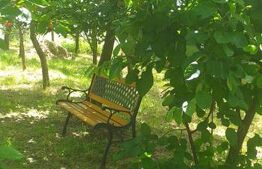 Cabana in zona Gherla, teren 1617 mp, zona linistita – relaxare sau investitie