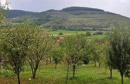 Cabana in zona Gherla, teren 1617 mp, zona linistita – relaxare sau investitie