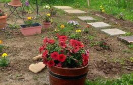 Cabana in zona Gherla, teren 1617 mp, zona linistita – relaxare sau investitie