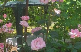 Cabana in zona Gherla, teren 1617 mp, zona linistita – relaxare sau investitie