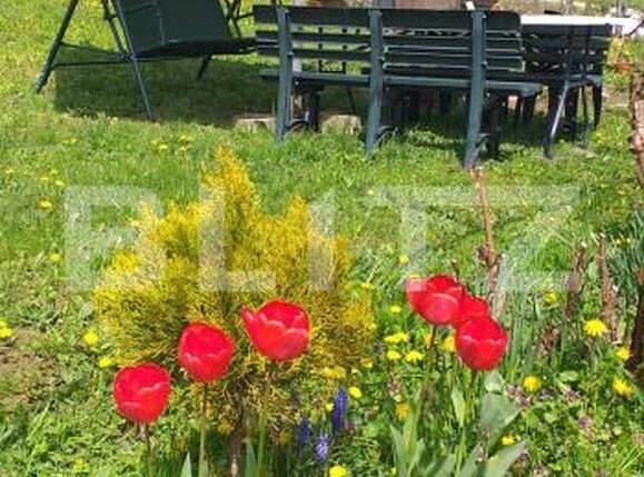 Teren de vânzare Gherla - 192326TV | BLITZ Dej | Poza1