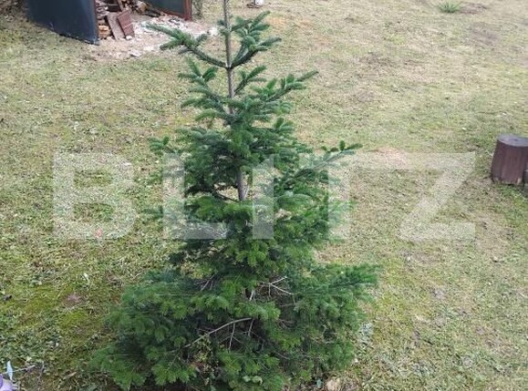 Teren de vânzare Gherla - 192326TV | BLITZ Dej | Poza7