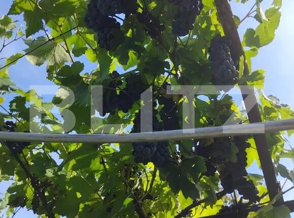 Teren de vânzare Gherla - 192326TV | BLITZ Dej | Poza10