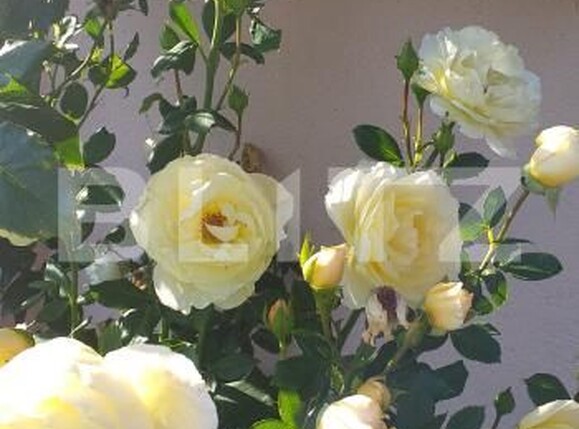 Teren de vânzare Gherla - 192326TV | BLITZ Dej | Poza11