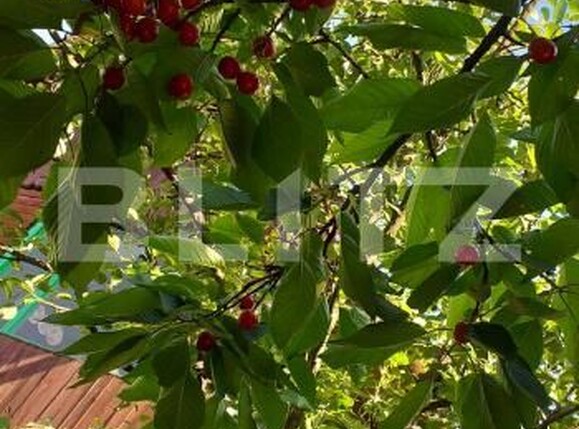 Teren de vânzare Gherla - 192326TV | BLITZ Dej | Poza8