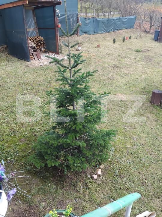 Teren de vânzare Gherla - 192326TV | BLITZ Dej | Poza7