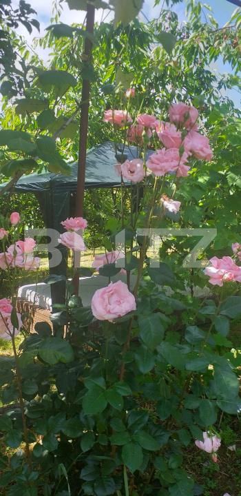 Teren de vânzare Gherla - 192326TV | BLITZ Dej | Poza12