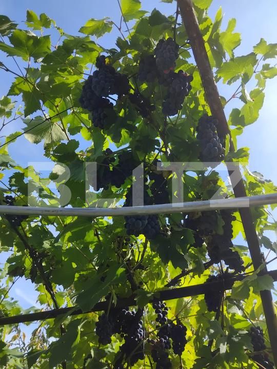 Teren de vânzare Gherla - 192326TV | BLITZ Dej | Poza10