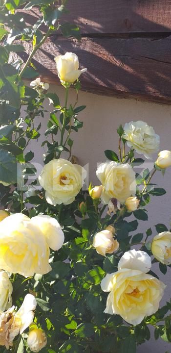 Teren de vânzare Gherla - 192326TV | BLITZ Dej | Poza11