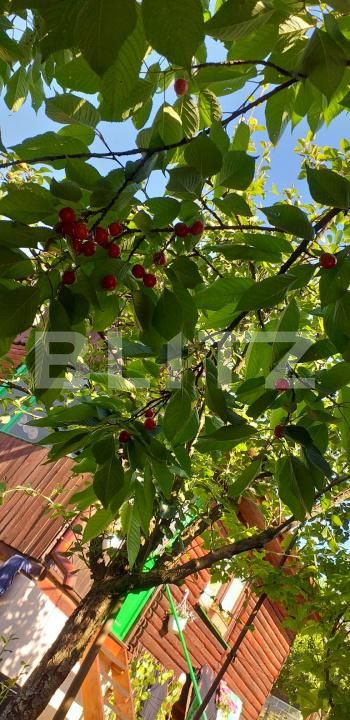 Teren de vânzare Gherla - 192326TV | BLITZ Dej | Poza8