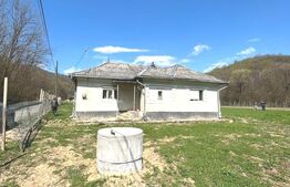 Casa de vanzare, 2 camere, 79 mp -Valea Garboului-Dej