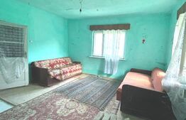 Casa de vanzare, 2 camere, 79 mp -Valea Garboului-Dej