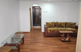 Garsonieră cochetă, complet mobilată, cu centrală proprie – zona Standard