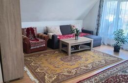 Casa de vanzare, cu 4 camere, 15 mp + 1283 mp teren - Dej