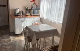 Casă spațioasă 7 camere, 247 mp, curte generoasa, amenajată-zona Dealul Florilor