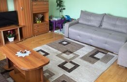 Casă spațioasă 7 camere, 247 mp, curte generoasa, amenajată-zona Dealul Florilor