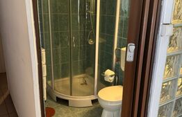 Casă spațioasă 7 camere, 247 mp, curte generoasa, amenajată-zona Dealul Florilor