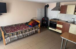 Casă spațioasă 7 camere, 247 mp, curte generoasa, amenajată-zona Dealul Florilor
