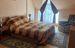 Casă spațioasă 7 camere, 247 mp, curte generoasa, amenajată-zona Dealul Florilor