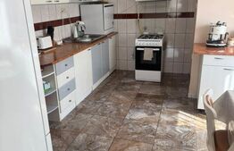 Casă spațioasă 7 camere, 247 mp, curte generoasa, amenajată-zona Dealul Florilor