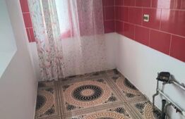 Casa de vanzare, 2 camere, 60 mp, Viile Dejului