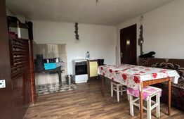 CASA DE VANZARE, CE OFERA, NU DOAR UN STIL DE LOCUIT CI UN STIL DE VIATA