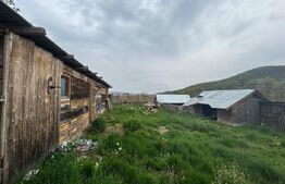 CASA DE VANZARE, CE OFERA, NU DOAR UN STIL DE LOCUIT CI UN STIL DE VIATA