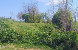 🏞️ Teren intravilan 1613 mp în comuna Geaca | Ideal pentru casă sau investiție