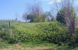 🏞️ Teren intravilan 1613 mp în comuna Geaca | Ideal pentru casă sau investiție