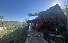 Cabana de vis în Sălișca – 100 mp utili, teren 1400 mp