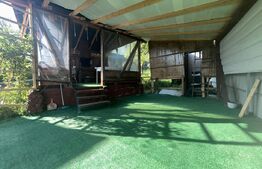 Cabana de vis în Sălișca – 100 mp utili, teren 1400 mp