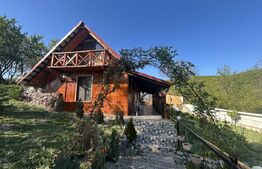 Cabana de vis în Sălișca – 100 mp utili, teren 1400 mp