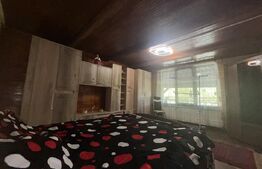 Cabana de vis în Sălișca – 100 mp utili, teren 1400 mp