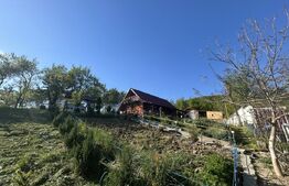 Cabana de vis în Sălișca – 100 mp utili, teren 1400 mp