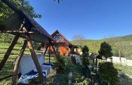 Cabana de vis în Sălișca – 100 mp utili, teren 1400 mp