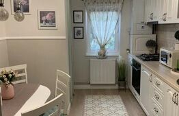 Apartament 4 camere ultrafinisat, 80 mp, etaj 1, zona Dealul Florilor