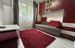 Apartament 2 camere, 31 mp, parter înalt – mobilat/investiție ideală - Dej
