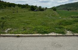 Teren 2900 mp, la strada asfaltata, utiltati -Ocna Dej