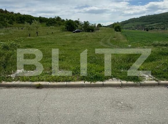 Teren de vânzare Exterior Sud - 196069TV | BLITZ Dej | Poza1