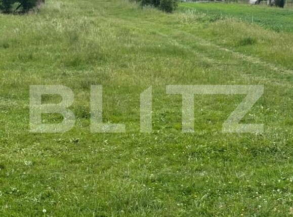 Teren de vânzare Exterior Sud - 196069TV | BLITZ Dej | Poza2