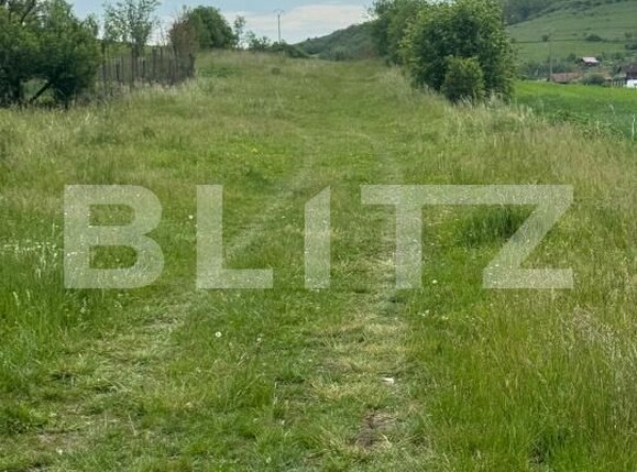Teren de vânzare Exterior Sud - 196069TV | BLITZ Dej | Poza3