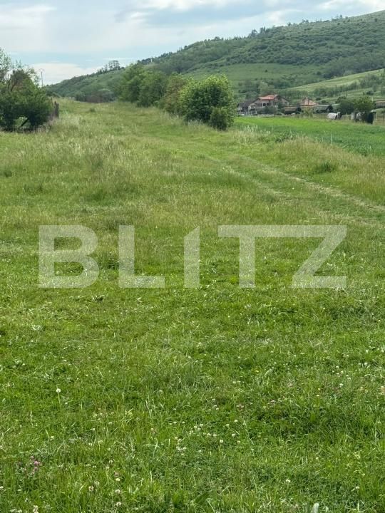 Teren de vânzare Exterior Sud - 196069TV | BLITZ Dej | Poza2