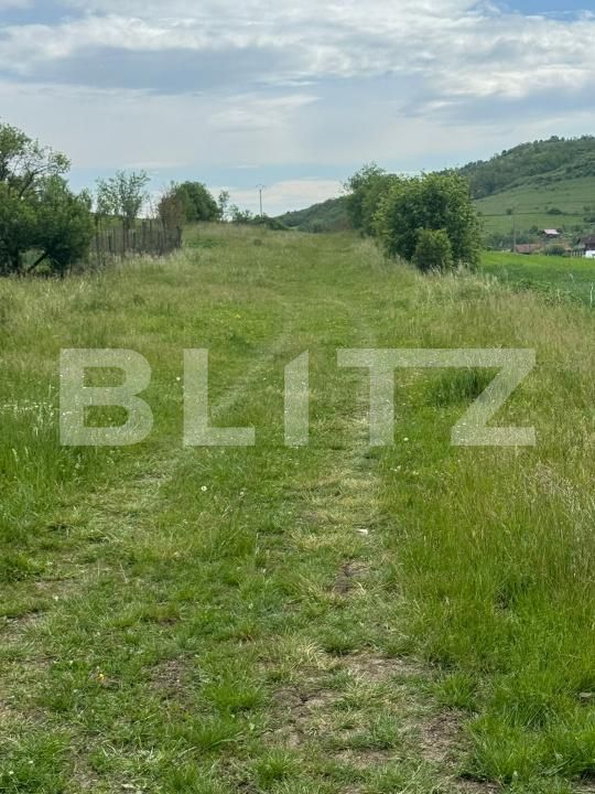 Teren de vânzare Exterior Sud - 196069TV | BLITZ Dej | Poza3