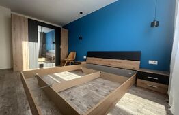 Apartament modern, complet renovat, 2 camere
