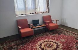 CASA DE VANZARE, IN CENTRUL DEJULUI CU GRADINA IMPRESIONANTA